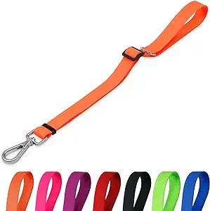 61WeSNiYCNL.__AC_SX300_SY300_QL70_FMwebp_